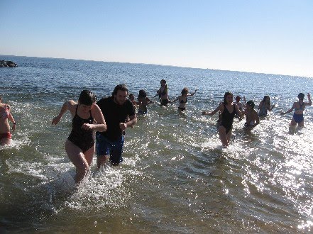 [polar+bear+plunge.jpg]