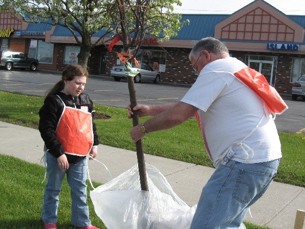 [tree+planting,+part+two+014.jpg]