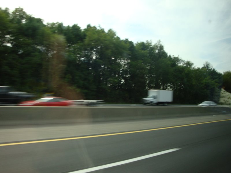 [DSC01285.JPG]