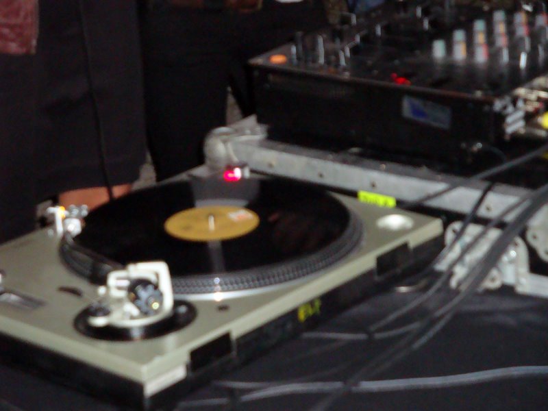[DSC03787.JPG]