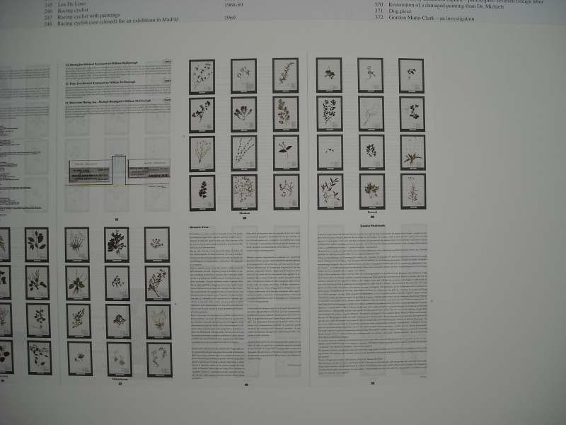 [DSCN0731.JPG]