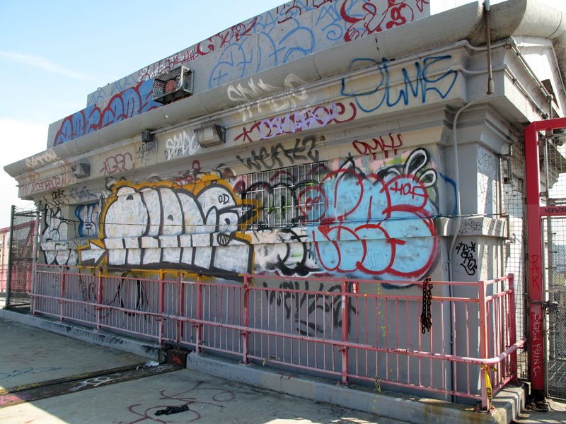 [IMG_7164.JPG]