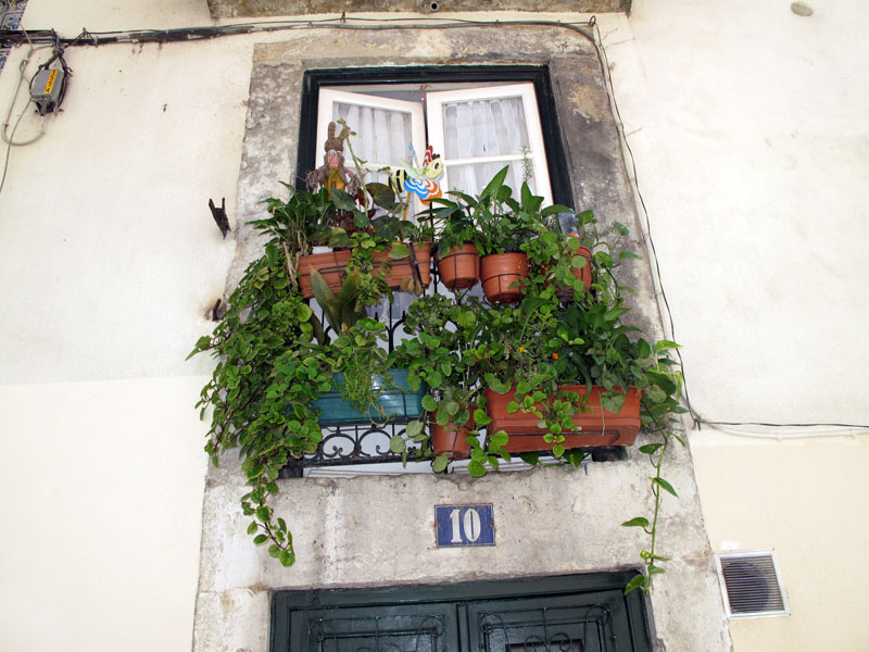 [IMG_8983.JPG]