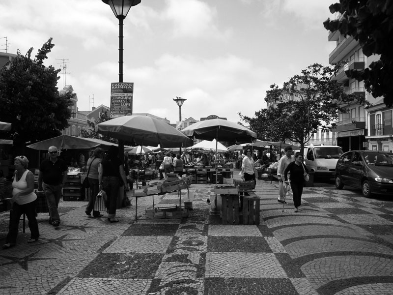 [DSC09023.JPG]