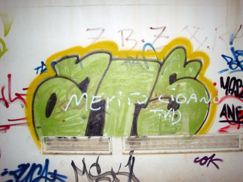 [DSC09389.JPG]