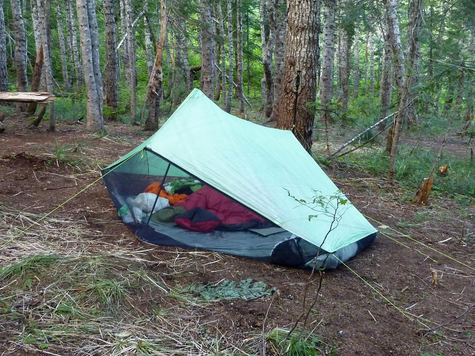 Mountain UltraLight Product Review ZPacks™ Hexamid Twin Tent