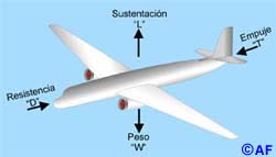 FUERZAS QUE ACTUAN SOBRE UN AVION fuerzas que actuan sobre un avion: