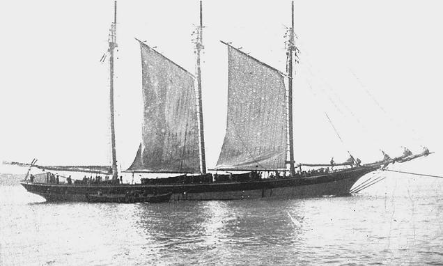 [BAC+NAVEGADOR.JPG]