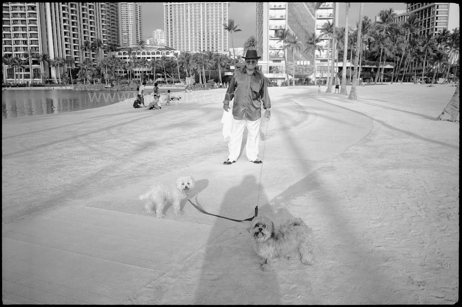 [man+and+dogs.jpg]