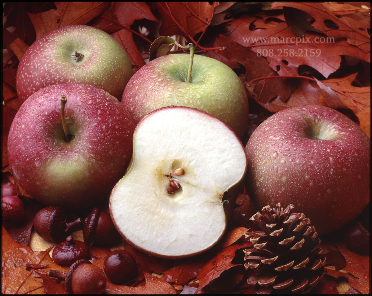 [apples.jpg]
