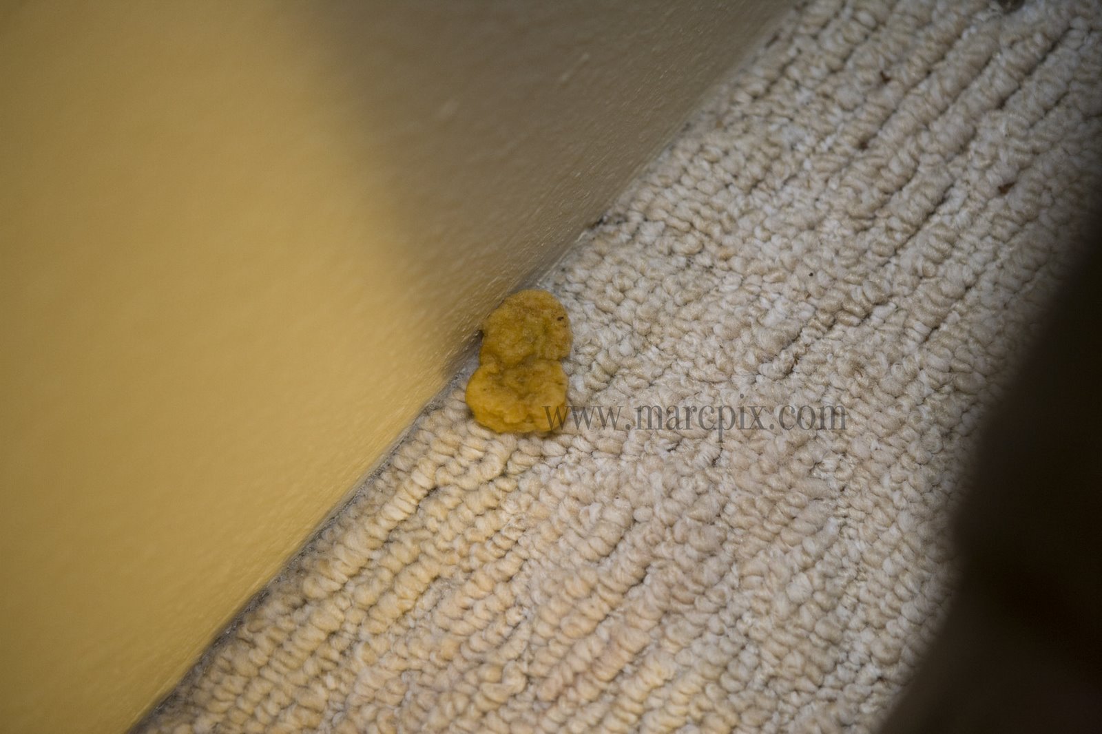 [mcnugget+2.jpg]