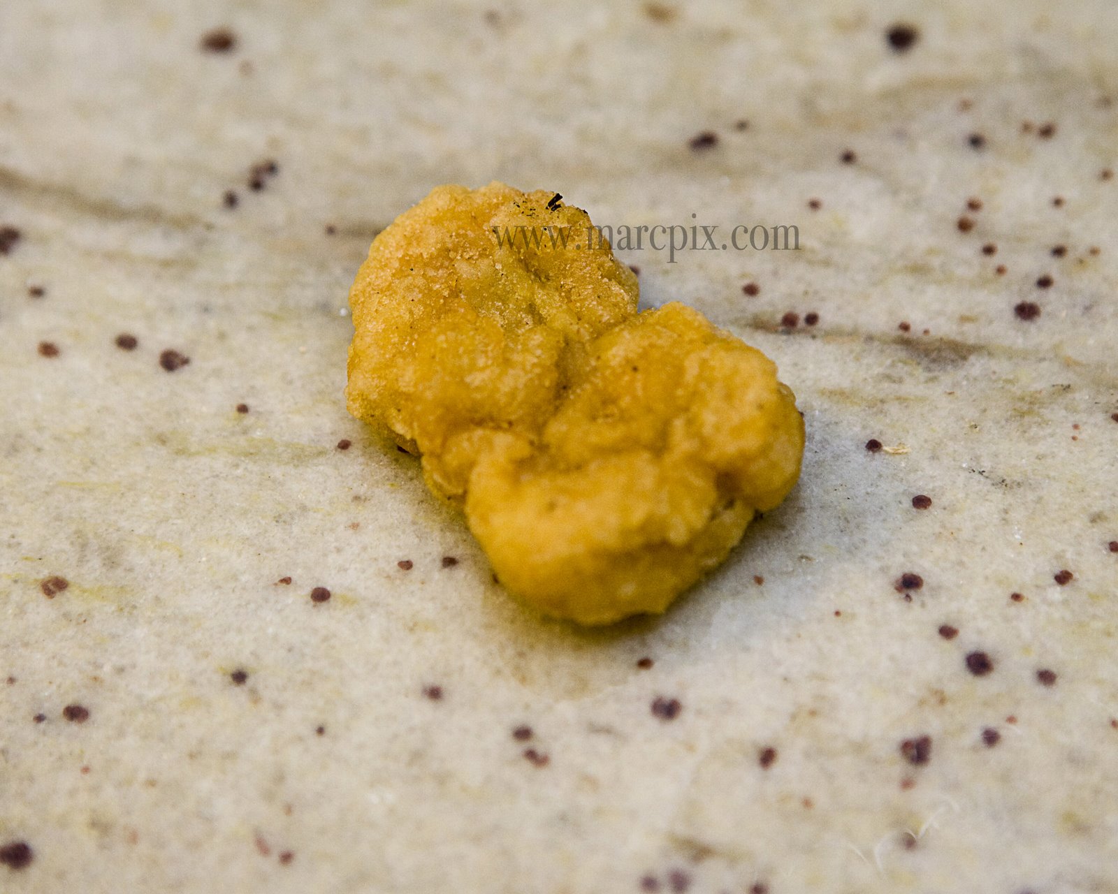 [mcnugget+1.jpg]