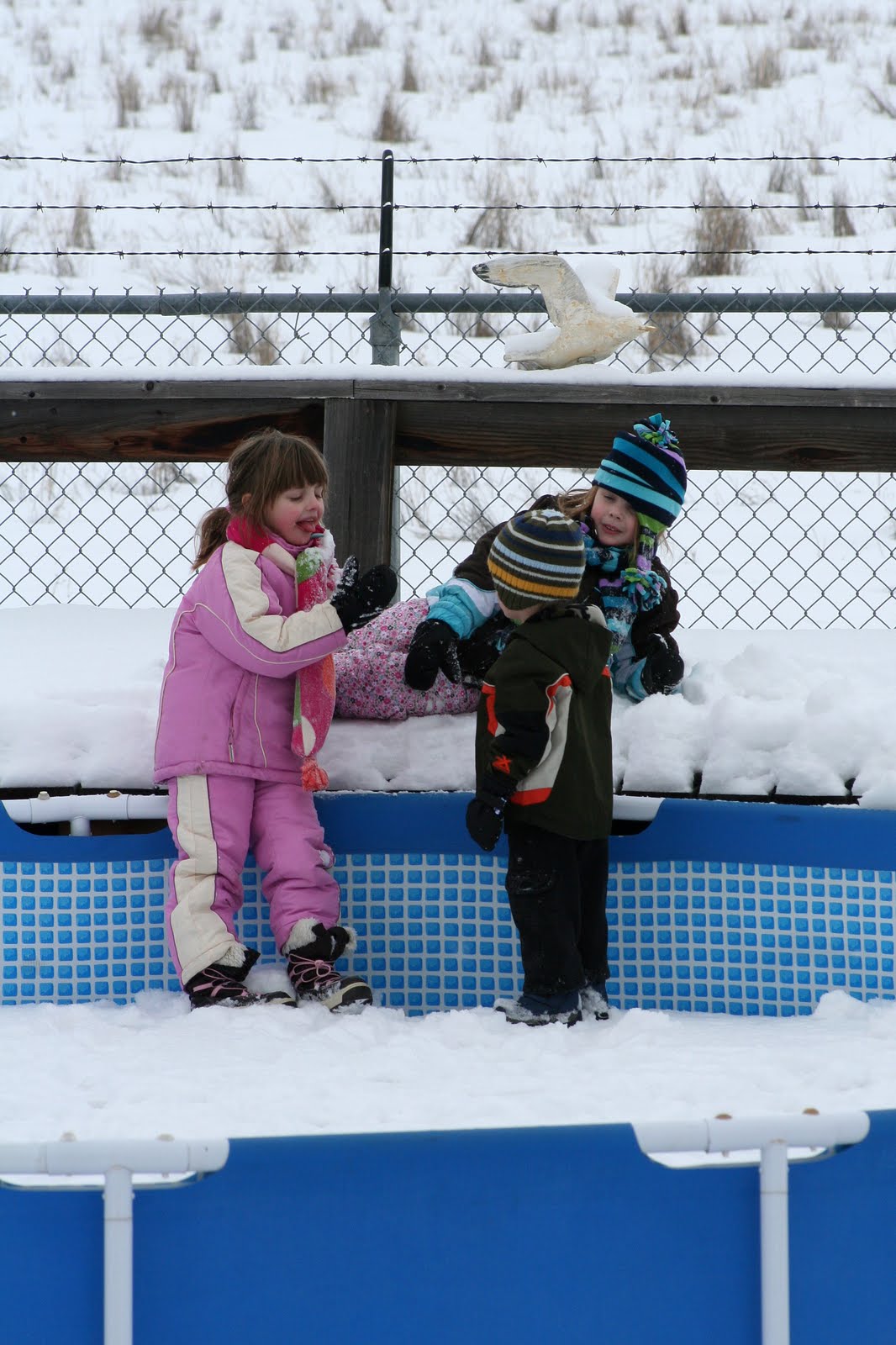 [snow+pool+kids.jpg]