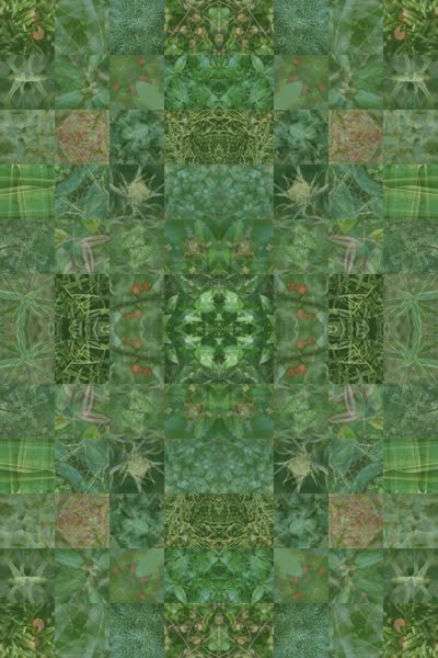 Susangaylord Com Solstice Greetings