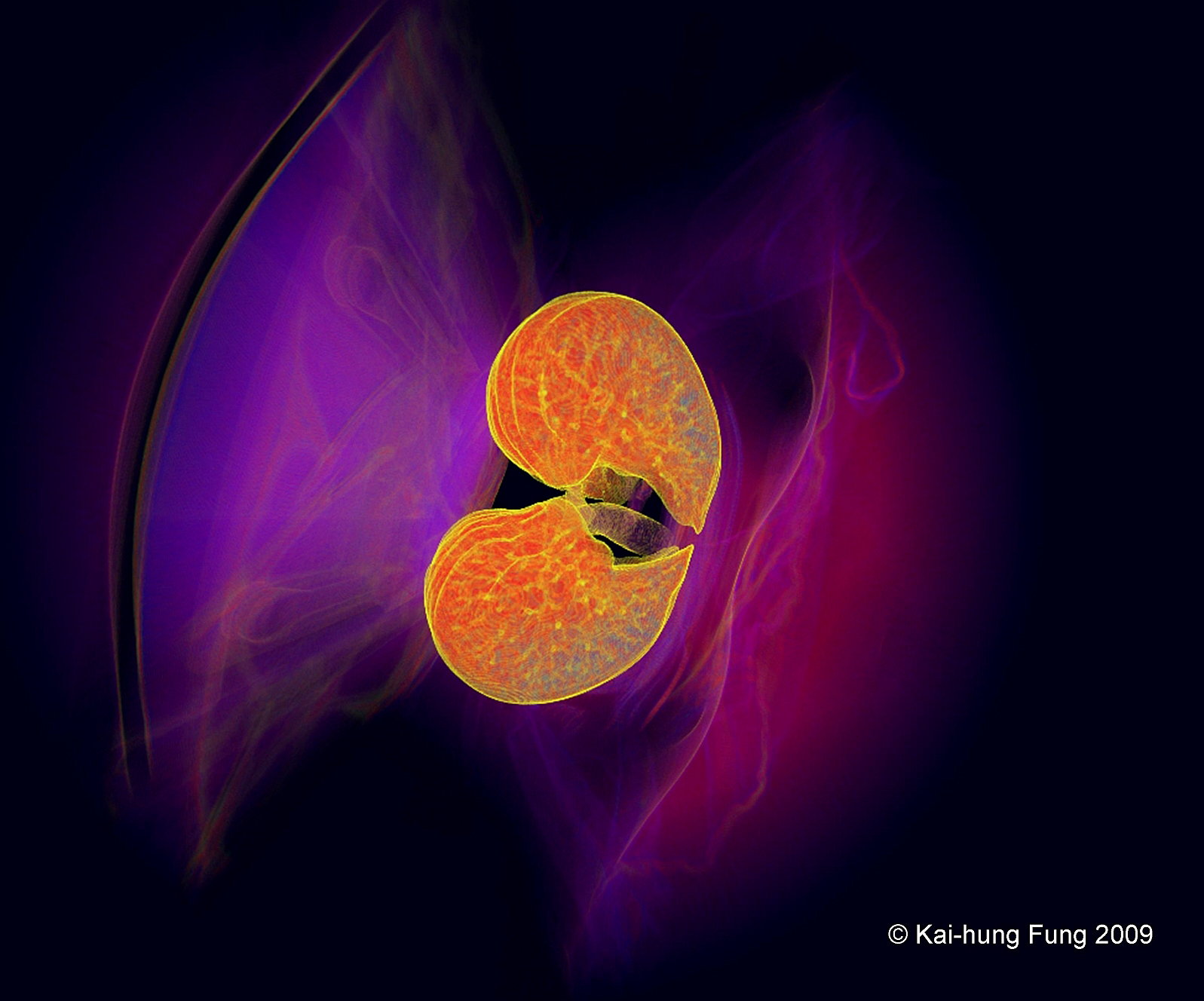 view irreversible decisions under uncertainty optimal