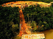 Illegal Logging Riau