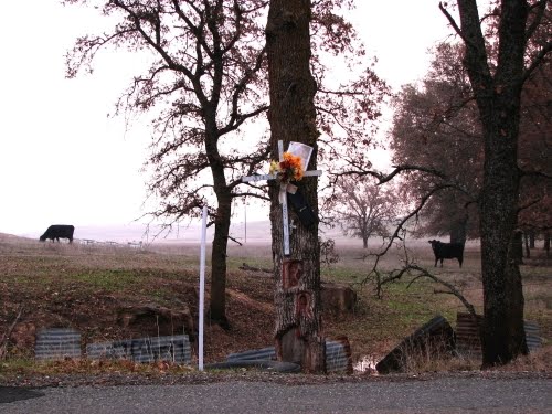 [Roadside+Marker.JPG]