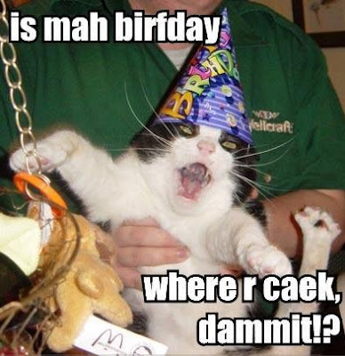 birthday cat image