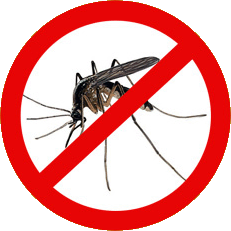 Tips Efektif mengusir nyamuk tampa obat nyamuk