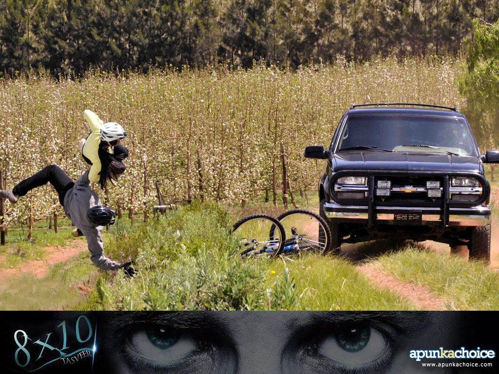 [t6.jpg]
