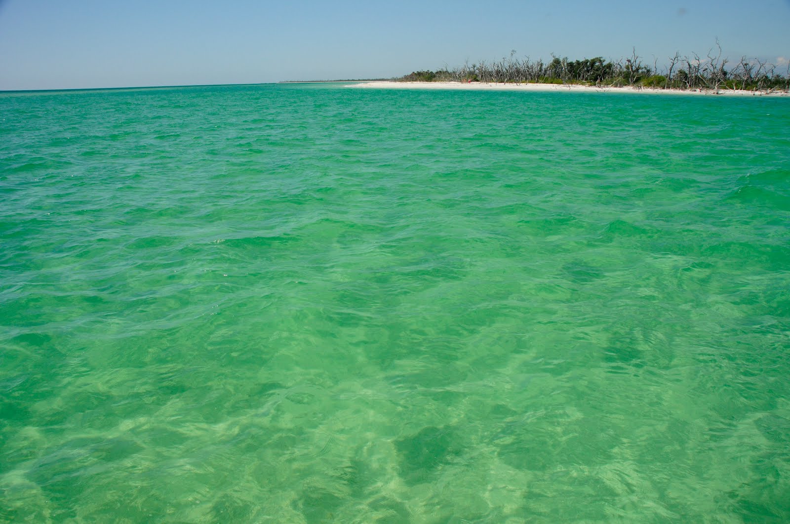 Cayo Costa Beach