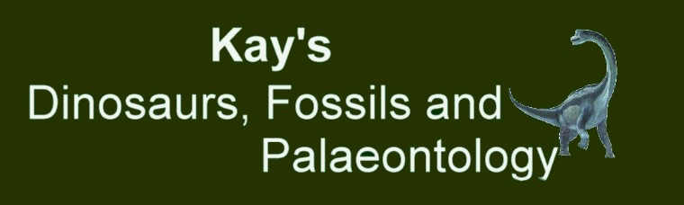 Kay's Dinosaurs, Fossils and Palaeontology