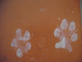 Unikum November 2009