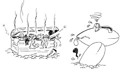 COFFER OF SEA SCENTS