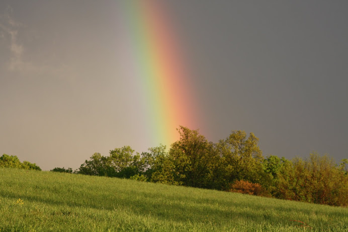 rainbow on the farm