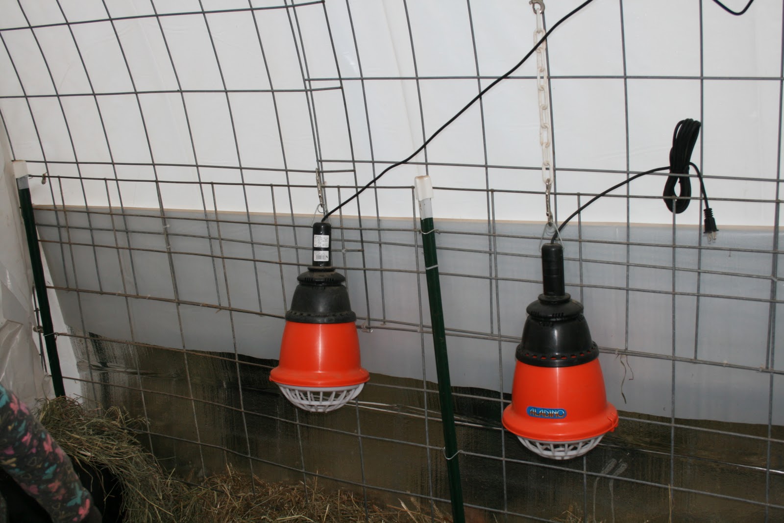 A Tiny Homestead Keeping everyone warm
