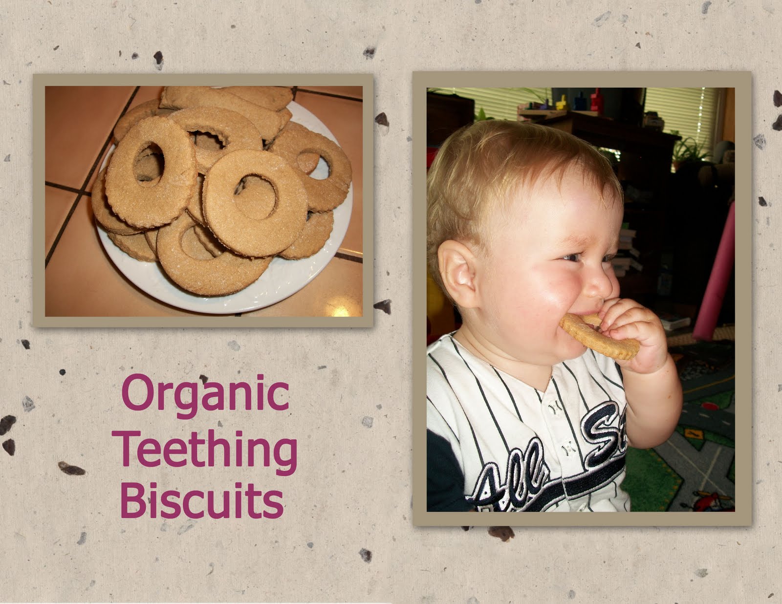 Save Green Being Green 160 Make Your Own Organic Teething Biscuits