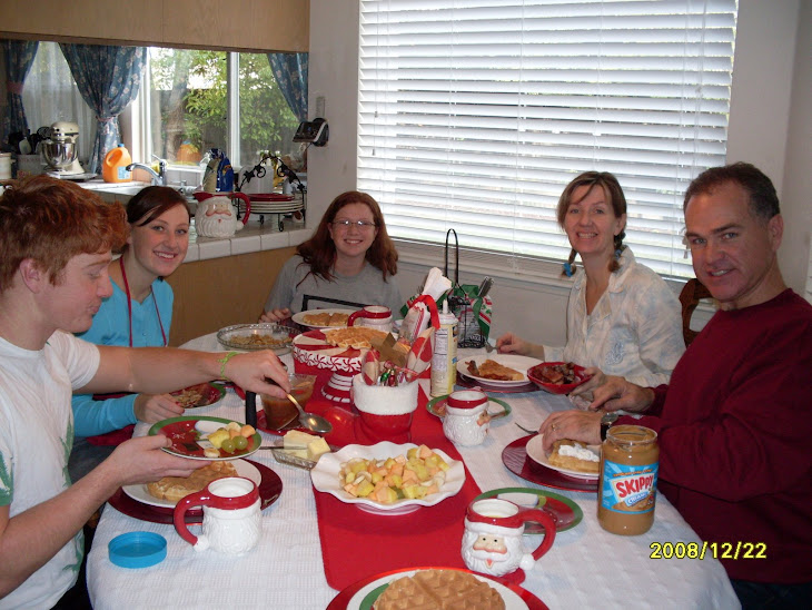 2008 christmas