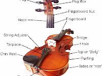 Violin Diagram Violin Diagram