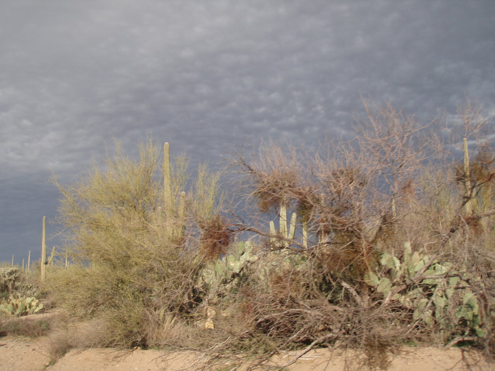 [January-February2010+043.jpg]