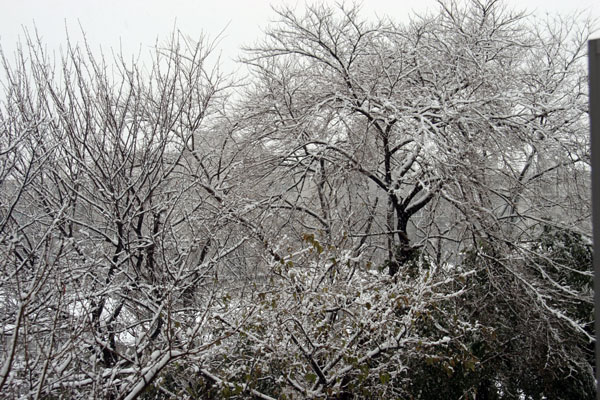 [IMG_9473+copy.JPG]