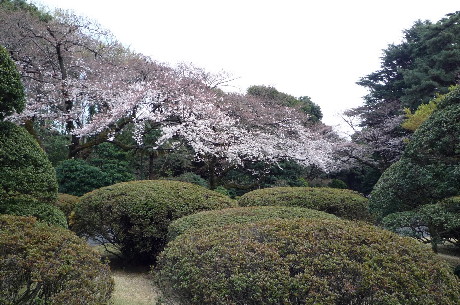 [P1010365.JPG]