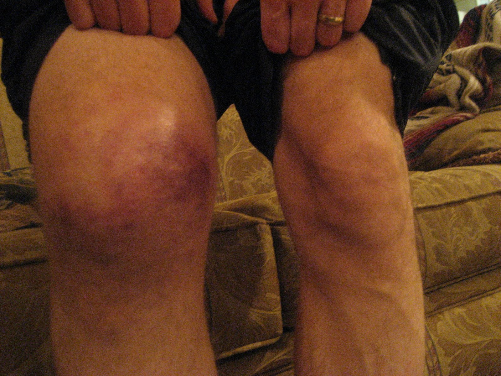 [flora's+feb.+09+224.jpg]