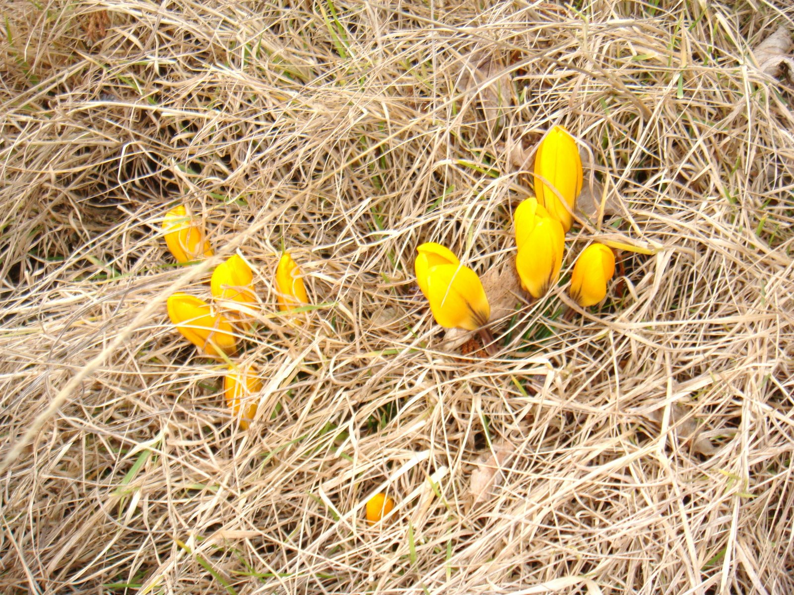 [DSC03013.JPG]