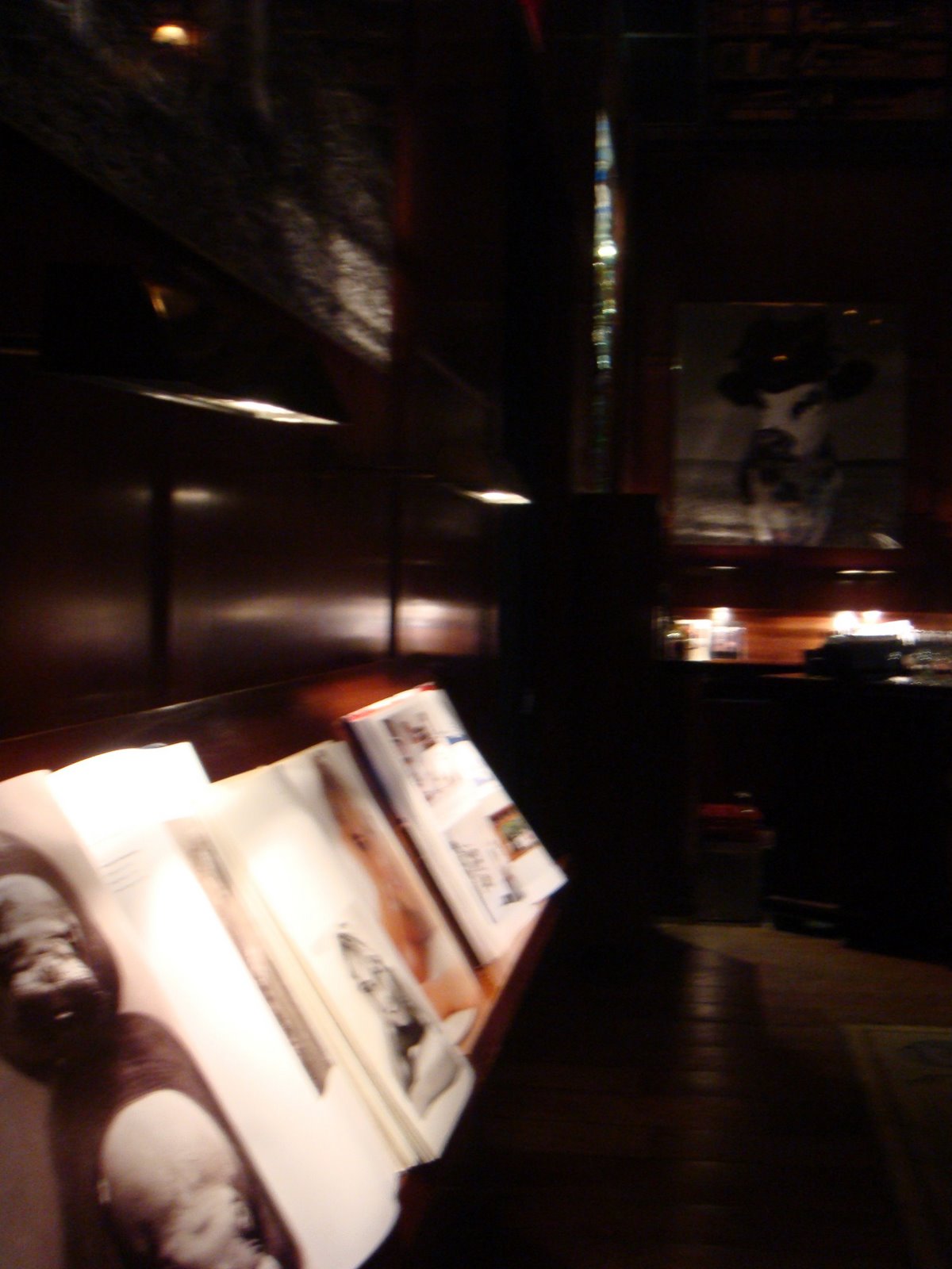 [DSC00296.JPG]