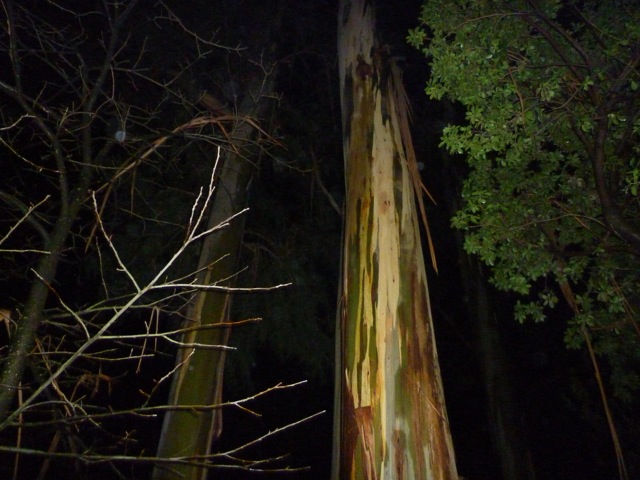 [P1010065.jpg]
