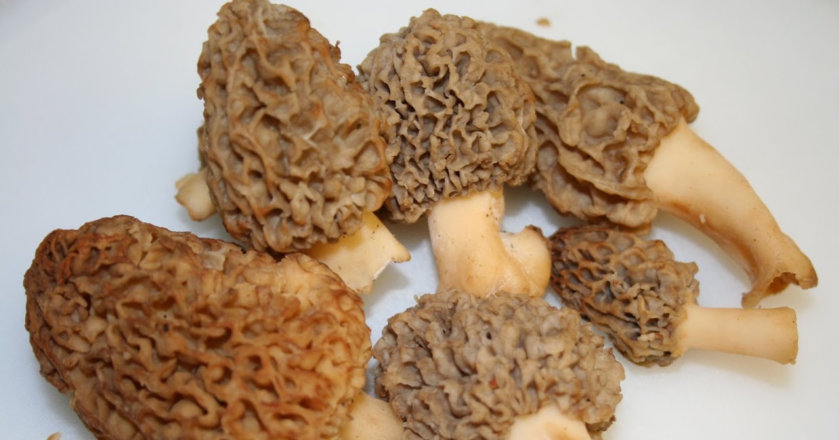 SPICE ISLAND VEGAN FRESH MOREL MUSHROOM I FINALLY TASTED IT!