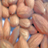 raw organic nonpariel shelled almonds