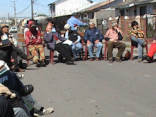 6º Festival 2006