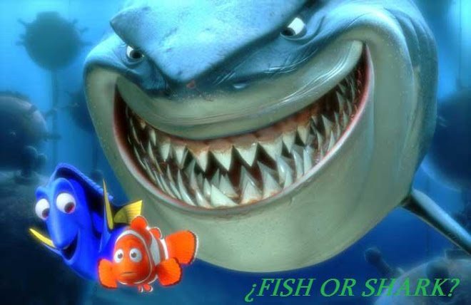 FISH OR SHARK