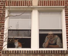 Painted Window Screens