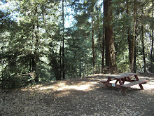 Our Camp Sight