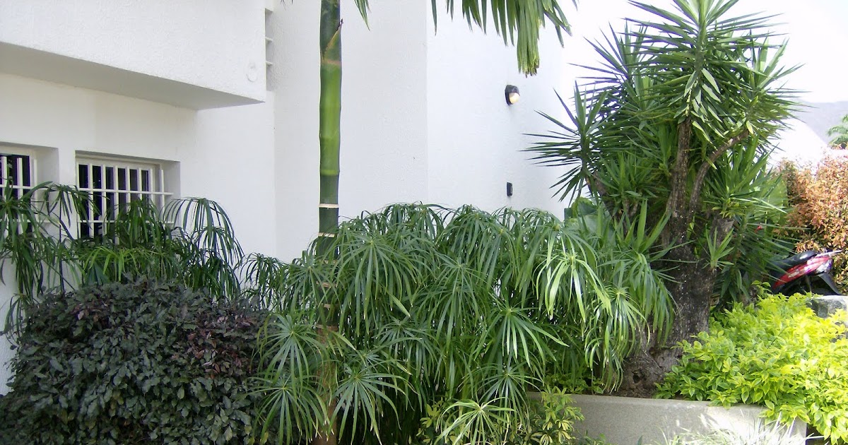 Jardín Bambú, C.A.: Jardines de Residencias