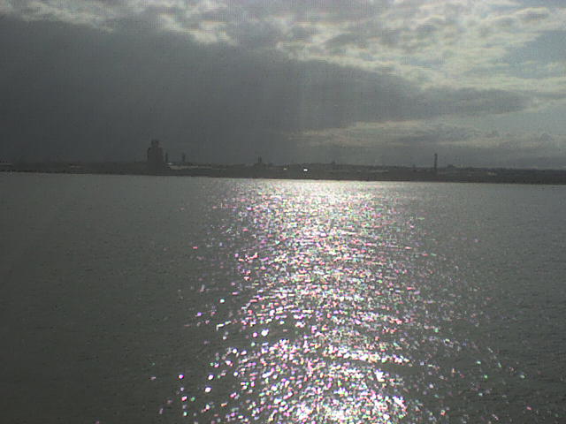 [DSC00567.JPG]