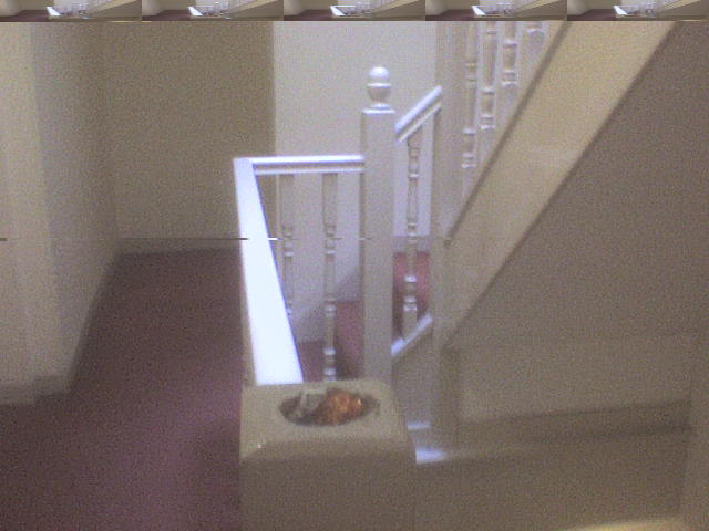 [DSC01249.JPG]