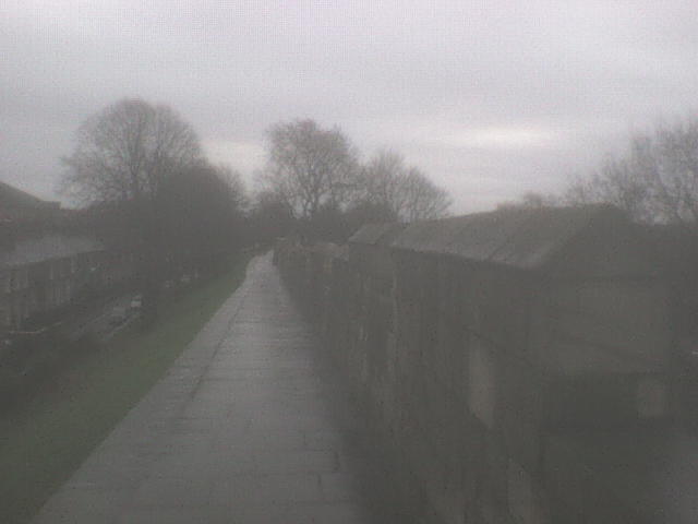 [DSC01502.JPG]